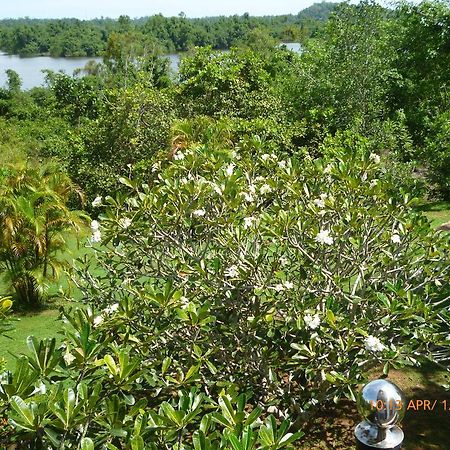 Sobaco Nature Resort Bentota Exterior photo