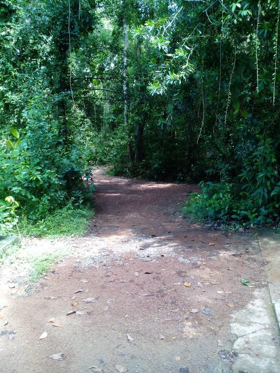 Sobaco Nature Resort Bentota Exterior photo
