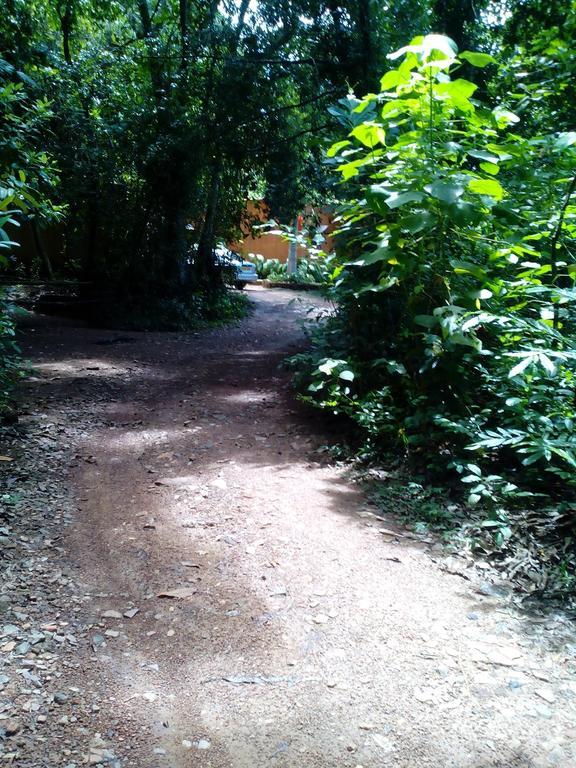 Sobaco Nature Resort Bentota Exterior photo