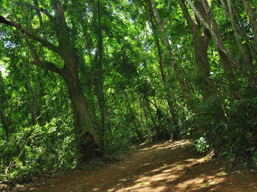 Sobaco Nature Resort Bentota Exterior photo